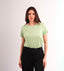 Polo Clasico LIMITED EDITION